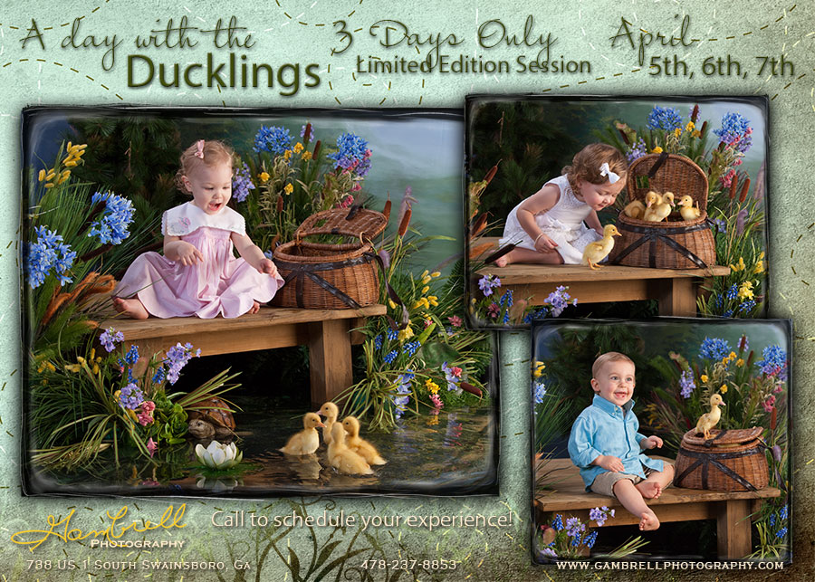 A Day with the Ducklings April 5th, 6th, 7th