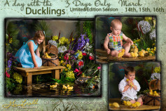 A Day with the Ducklings Special Edition Session 3 Days Only! March 14th, 15th, 16th Call 478-237-8853 to schedule your expericence!