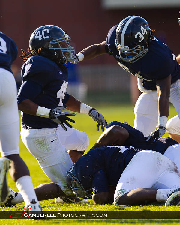 Fumble in overtime by App State. GSU recovered to end the game.