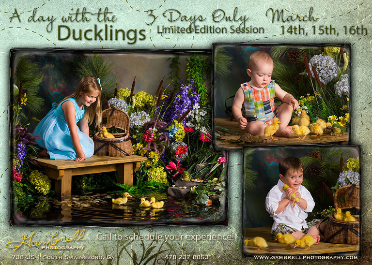 A Day with the Ducklings Special Edition Session  3 Days Only! March 14th, 15th, 16th  Call 478-237-8853 to schedule your expericence!