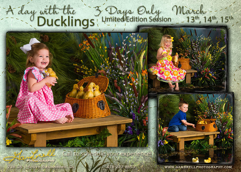 2014-Duck-blog