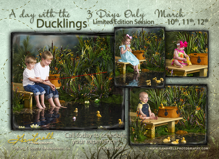 2015 Duck Card-2016-Blog